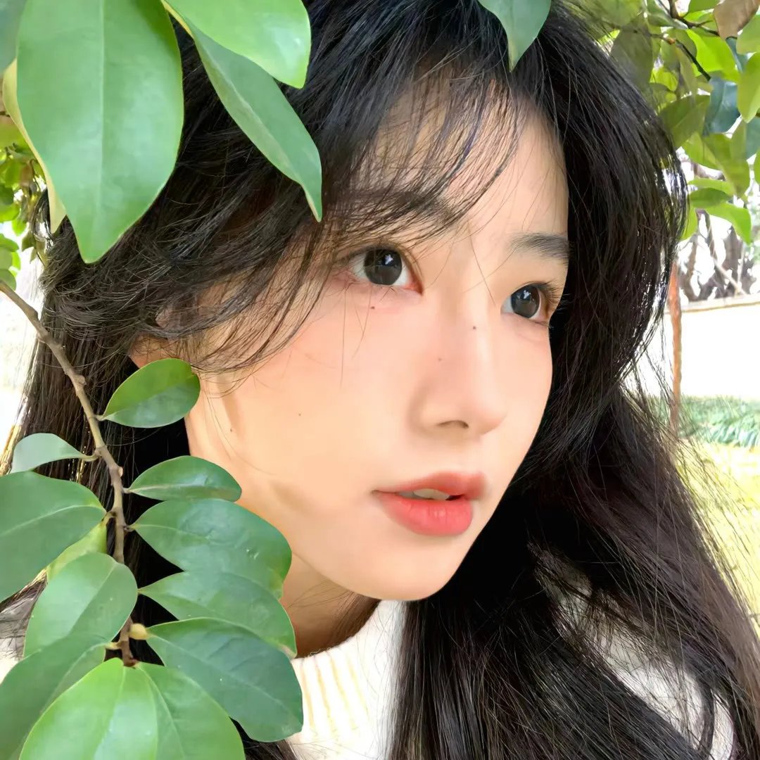 绿洲2020