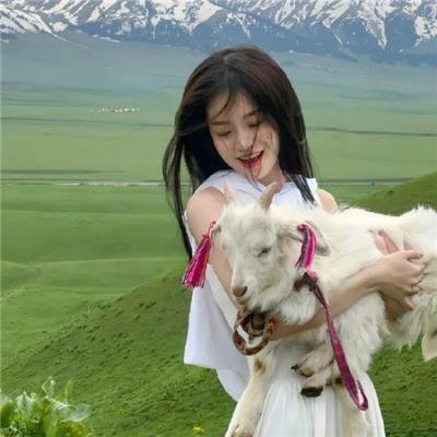 风骚律师第二季