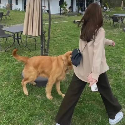 老鬼当家